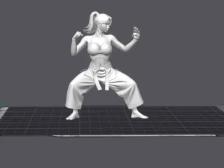 sexy woman with big breasts doing karate