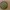 Irish Celtic Cross Detailed Design