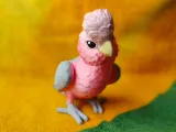 Galah-0