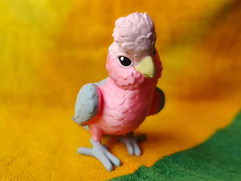 Galah