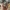 Mischief Horn Bellybeast – Noah0x03