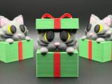 Gift Box Kitty-0