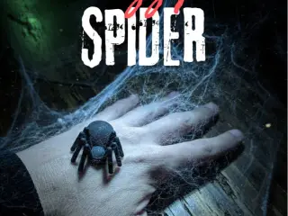 Fuzzy Spider