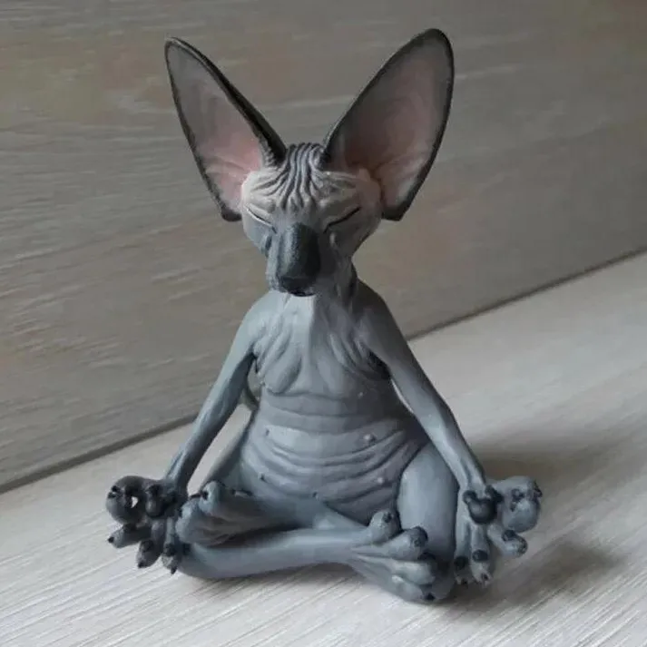 Sphynx cat