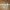 大师之剑