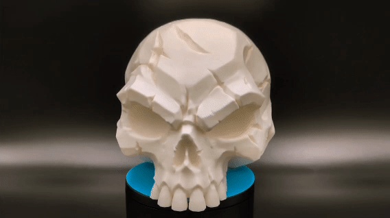 Battle Scarred Skull - Dark Gothic Decor