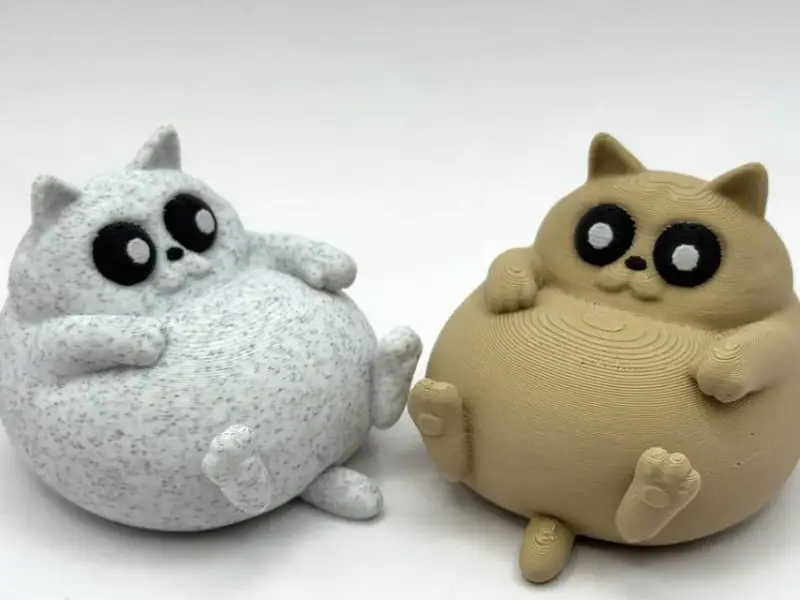 Chill Chonky Cat