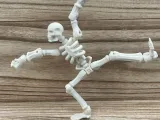Skeleton-0
