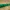 Watering Spike 1 mm / 0.5 mm