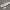 Canoe Boat