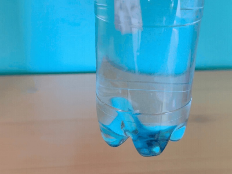 The Cartesian Diver Experiment