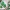 Christmas Tree Cookie Cutter, 3 Sizes, Christmas Tree Shape