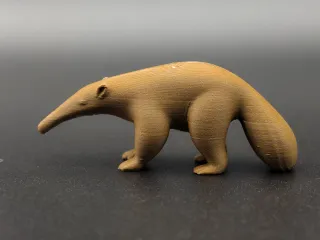 食蚁兽
