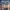SpaceX Starship     星舰
