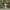 Ninja Kunoichi Nude – Topless Assassin (nsfw)