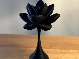 Succulent Decor 1