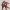 Red Dragon Warrior – Stylized Fantasy Humanoid Character