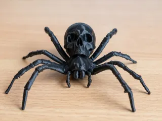 The most realistic skull spider