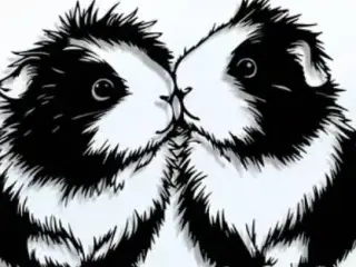 Hamsters (CFS needed)