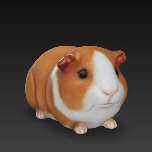 Meerschwein