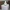 Alcoholhouder Japani 500ml