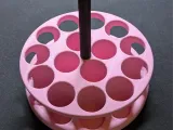 Carousel for Adopt perfume-0