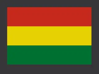 BO - Bolivia Flag decoration