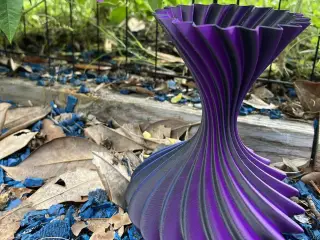 Elegant Spiral Vase