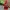 Hombre de bloques Red Power Ranger 500x