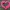Ornate Cute Heart Frame With Floral Scroll Border