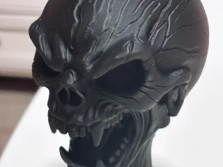 Skull bust
