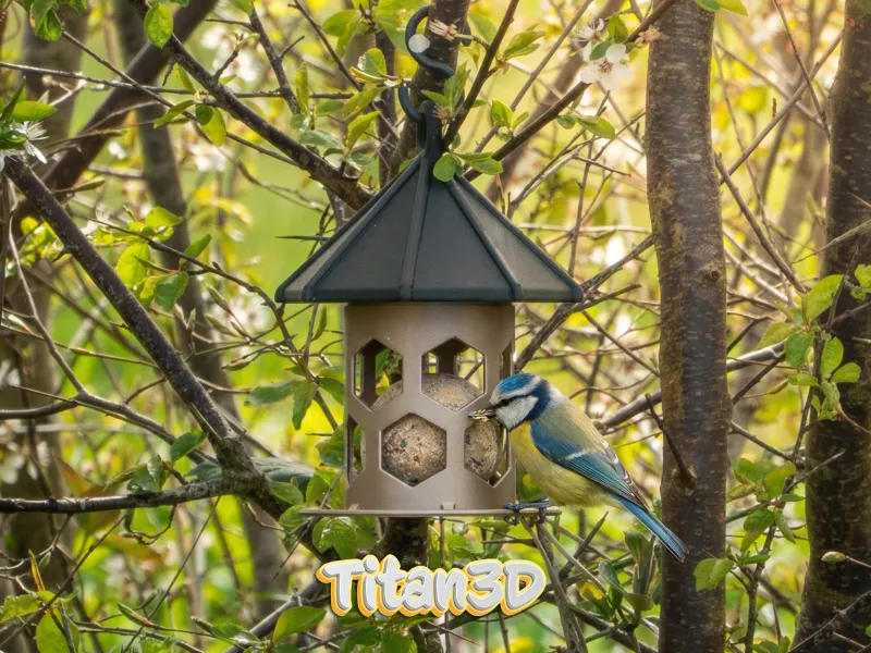 Bird Feeder