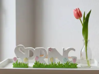 Spring Schriftzug