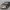 Acura TSX 2010