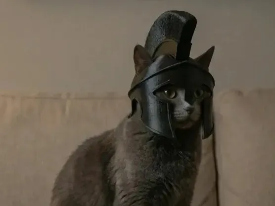 capacete de guerreiro espartano para gatos