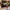 WERK74 – Showroom Guy_1_18 Diorama Figur