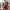 Cute Baby Monkey Figurine – Noah0x03