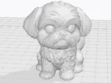 Shih Tzu-0