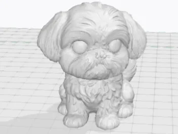 Shih Tzu