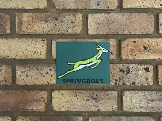 Hueforge Springboks Logo