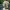 Hekate: Drei Gesichter des Schicksals