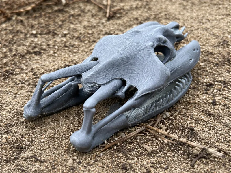 Yellow Anaconda Skull
