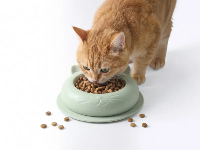 Ciotola per cibo per gatti graziosa | STL per la stampa 3D
