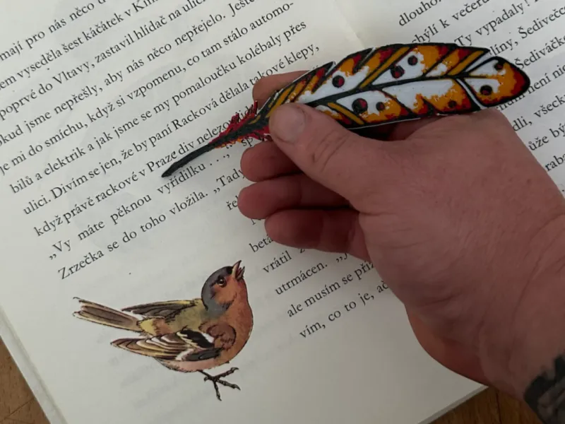 Plumule / feather bookmark + pointer