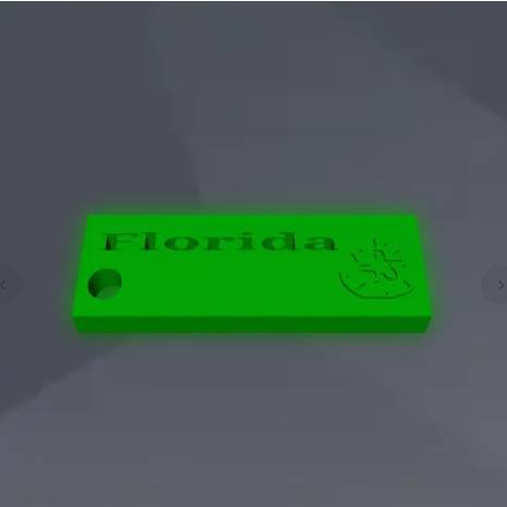 Florida Tag keychain