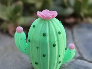 Milkshake cactus