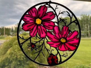 3D CosmoLadyBug 10"