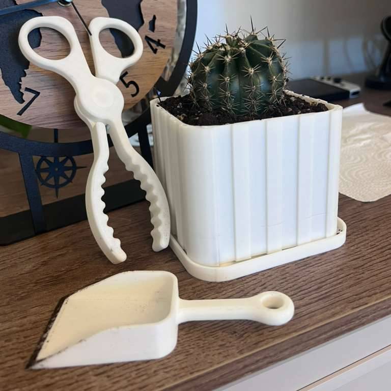 No-Support Cactus Care Set