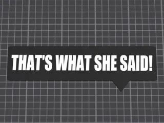 “That’s What She Said” sign