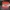 TNT_Holdback_multiplate